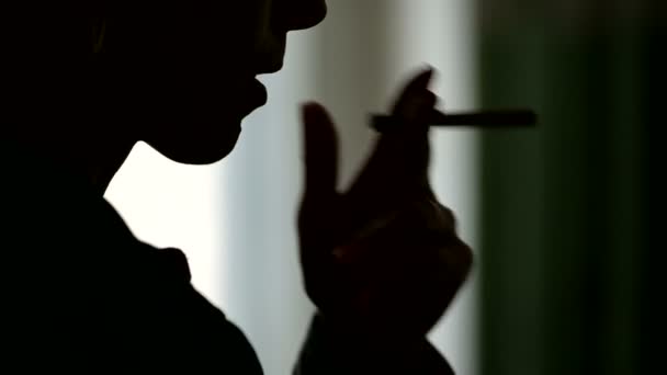 Close-up of the silhouette of a womans face sticking a cigarette into her lips and igniting her with a lighter and exhaling smoke. The grim concept of the harm of smoking in a low key — Stock Video