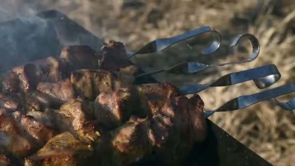 Close-up van heerlijke vlees plakjes op spiesjes gebakken buiten op de grill op een zonnige dag. Sappige kebab vleesschotel — Stockvideo