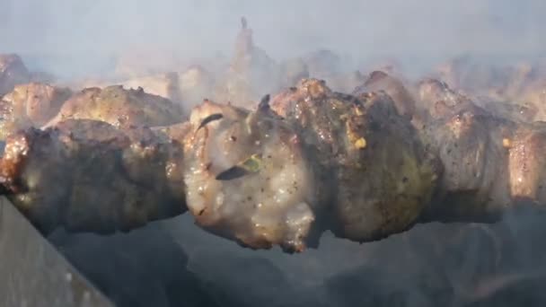 Primer plano de deliciosas rebanadas de carne en pinchos fritos al aire libre en la parrilla en un día soleado. Plato de carne de kebab jugoso — Vídeos de Stock