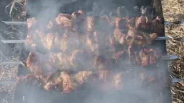 Yakın çekim lezzetli et dilimleri şiş üzerinde güneşli bir gün ızgara açık havada kızarmış. Sulu kebap et çanak