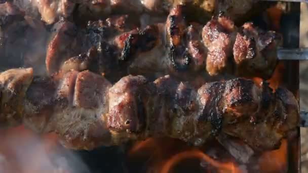 ใกล้เคียงของชิ้นเนื้ออร่อยบน skewers ทอดกลางแจ้งบนกริลล์ในวันที่แดด อาหารเนื้อเคบับฉ่ํา — วีดีโอสต็อก
