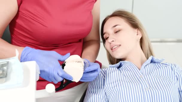 Zubař zobrazuje a vysvětluje problém na modelu sádrovce pro mladou ženu — Stock video