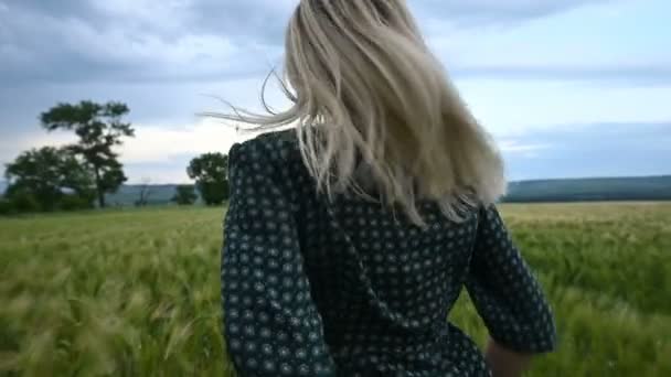 Jeune fille blonde heureuse court sur un champ de blé vert dans la soirée sur le fond du ciel de pluie. Vue de l'arrière — Video