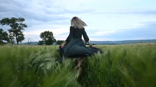 Jovem menina loira feliz corre em um campo de trigo verde à noite contra o fundo do céu chuva. Vista de trás — Vídeo de Stock