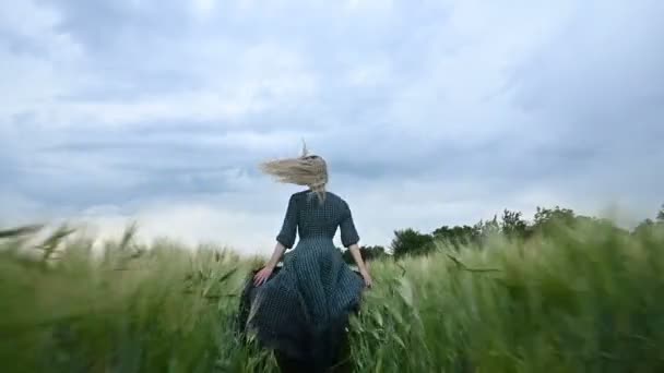年轻的快乐金发女孩在雨天的背景下，晚上在绿麦地里奔跑。从背面查看 — 图库视频影像