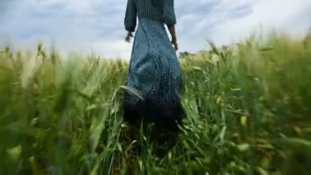 Genç mutlu sarışın kız yağmur gökyüzünün arka plan karşı akşam yeşil bir buğday tarlasında çalışır. Arkadan görüntüle — Stok video