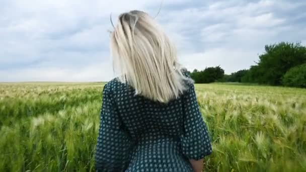 Joven chica rubia feliz corre en un campo de trigo verde en la noche contra el fondo del cielo lluvioso. Vista desde atrás — Vídeo de stock