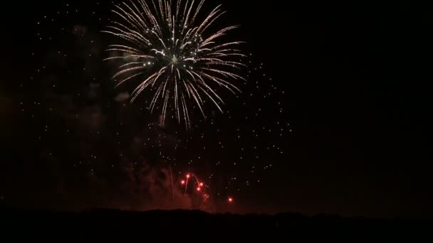 Deslumbrante fogos de artifício em grande escala com luzes brilhantes acima do horizonte. Câmera ao vivo — Vídeo de Stock