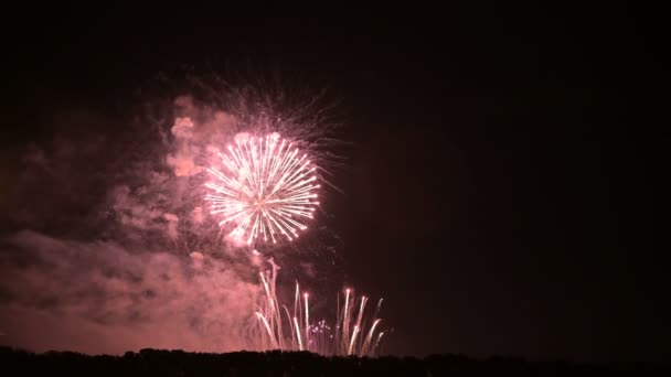 Deslumbrantes fuegos artificiales a gran escala con luces brillantes sobre el horizonte. Cámara en vivo — Vídeos de Stock