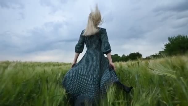 Joven chica rubia feliz corre en un campo de trigo verde en la noche contra el fondo del cielo lluvioso. Vista desde atrás — Vídeo de stock
