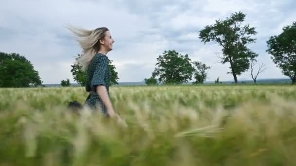 Jovem menina loira feliz corre em um campo de trigo verde à noite contra o fundo do céu chuva. Vista lateral — Vídeo de Stock