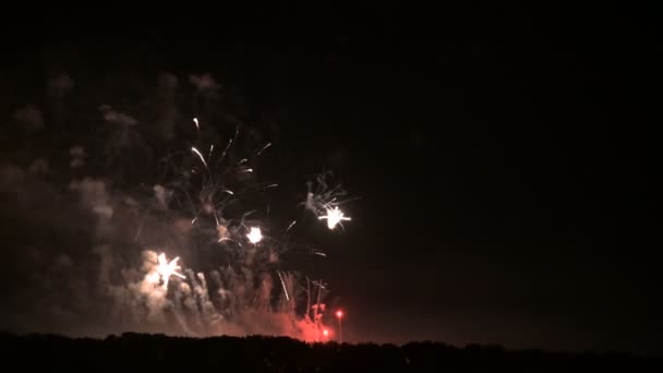 Deslumbrante fogos de artifício em grande escala com luzes brilhantes acima do horizonte. Câmera ao vivo — Vídeo de Stock