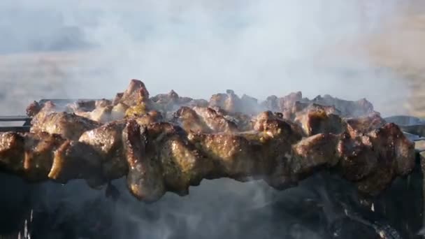 Close-up van heerlijke vlees plakjes op spiesjes gebakken buiten op de grill op een zonnige dag. Sappige kebab vleesschotel — Stockvideo