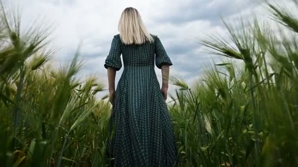 Jong gelukkig blond meisje loopt op een groene tarwe veld in de avond tegen de achtergrond van de regen hemel. Uitzicht vanaf de achterzijde — Stockvideo