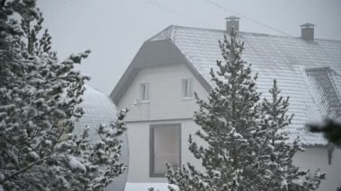 Konuk evi kışın kar yağışı kozalaklı ormanda. Yavaş çekimde düşen kar ile yumuşak karlı Noel sabahı. Video arka planı