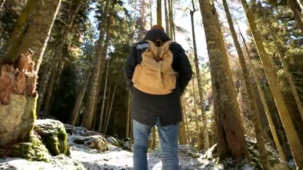 Sledovací kamera nízký široký úhel zadní pohled na mužského cestovatele s batohu v zimě po pěšině v jehličnatých lesích. Koncept hledání vaší cesty a cestování. podíry 422 — Stock video