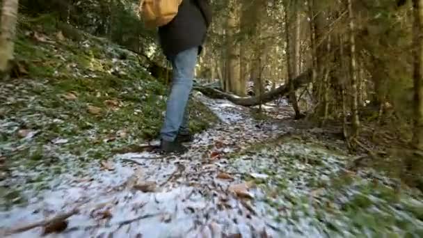 Κάμερα παρακολούθησης χαμηλή ευρεία γωνία πίσω όψη ενός αρσενικού ταξιδιώτη με ένα σακίδιο περπατήματος κατά μήκος ενός μονοπατιού σε ένα δάσος κωνοφόρων το χειμώνα. Η ιδέα να βρεις το δρόμο σου και να ταξιδέψεις. τα ProRes 422 — Αρχείο Βίντεο