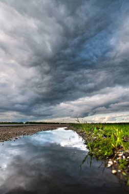 Yeşil çim en geç akşam bir ülke yol kenarında bir su birikintisi dramatik gökyüzünün yansıması yeşil çim ve çakıl yanında