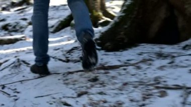 Kamera Takibi bir erkek gezgininin düşük geniş açı arka görünümü bir sırt çantası ile kış aylarında bir konik ormanda bir yol boyunca yürüyüş. Yolunuzu ve seyahat bulma kavramı. ProRes 422 |