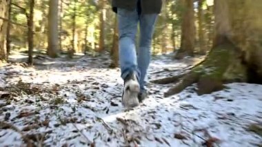 Kamera Takibi bir erkek gezgininin düşük geniş açı arka görünümü bir sırt çantası ile kış aylarında bir konik ormanda bir yol boyunca yürüyüş. Yolunuzu ve seyahat bulma kavramı. ProRes 422 |