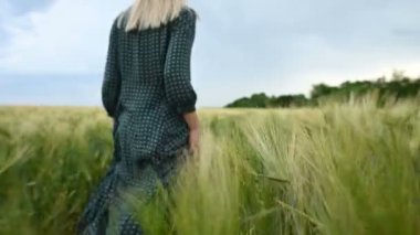 Arka görüş. Gevşek yeşil elbiseli genç sarışın bir kız yavaş buğday yeşil bir alan boyunca yürür. Kadınların özgürlük ve bağımsızlık kavramı