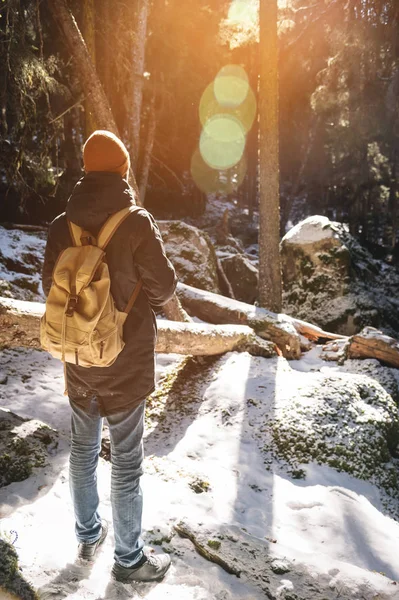 Ένας άντρας με γένια σε ένα καπέλο και ένα σακίδιο στέκεται με την πλάτη του σε μια ηλιόλουστη μέρα το χειμώνα σε ένα δάσος κωνοφόρων. Η έννοια του χειμώνα ταξίδια και βόλτες στο δάσος — Φωτογραφία Αρχείου