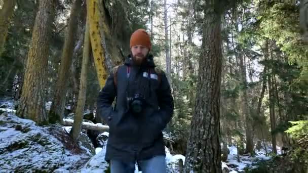 En skäggiga manliga resenären fotograf med sin kamera i vinterskogen tar bilder av naturen. Resekoncept för bloggare och foto konstnärer — Stockvideo