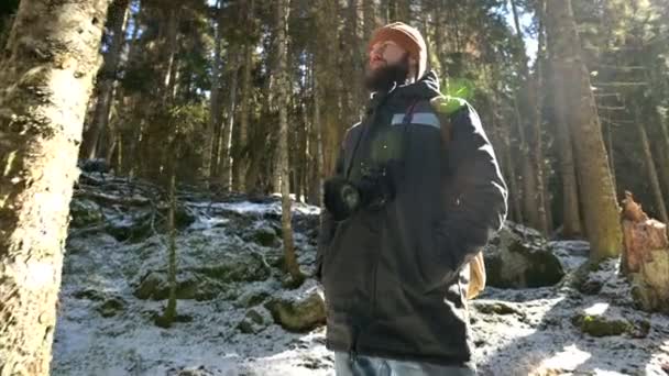 Πορτραίτο ενός σοβαρού φωτογράφου με ένα σακίδιο και μια κάμερα που στέκεται σε ένα δάσος κωνοφόρων στο χειμώνα με οπίσθιο φωτισμό και ηλιακό φως — Αρχείο Βίντεο