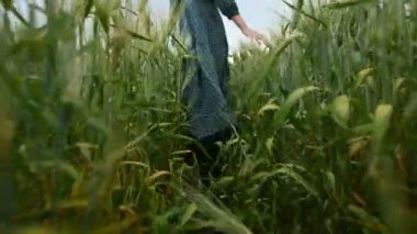 Düşük açılı arka görüş. Gevşek yeşil elbiseli genç sarışın bir kız yavaş buğday yeşil bir alan boyunca yürür. Kadınların özgürlük ve bağımsızlık kavramı
