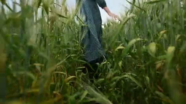 Vista trasera de ángulo bajo. Una joven rubia con un vestido verde suelto pasea tranquilamente por un campo verde de trigo. El concepto de libertad e independencia de la mujer — Vídeo de stock