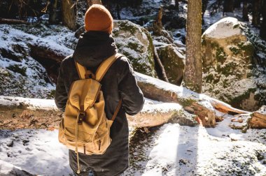 Şapkalı ve sırt çantasıolan sakallı bir adam kışın kozalaklı bir ormanda sırtıyla duruyor. Kış seyahat kavramı ve ormanda yürüyor