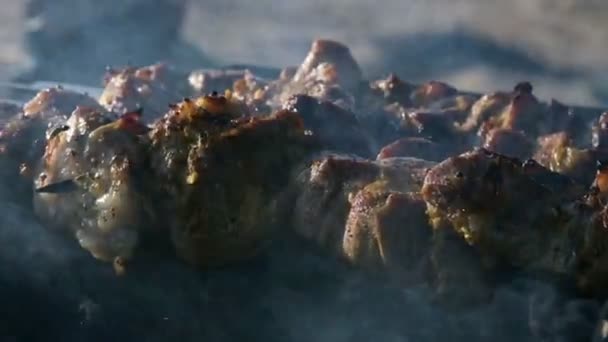 Primer plano de deliciosas rebanadas de carne en pinchos fritos al aire libre en la parrilla en un día soleado. Plato de carne de kebab jugoso — Vídeo de stock