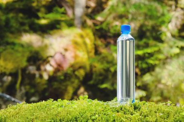 Yeşil orman bir arka plan üzerinde taze içme suyu ile Plastik şişe mavi kap yosun ile bir taş üzerinde duruyor. Saf doğal dağ suyu kavramı