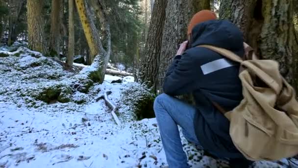 Vousatý mužský cestovatel s fotoaparátem v zimním lese si dělá fotky přírody. Cestovní koncept pro bloggery a fotoumělce — Stock video