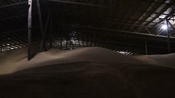 Panorama du hangar pour stocker le grain de blé. Zone de stockage sombre couverte Blé. Clé basse — Video