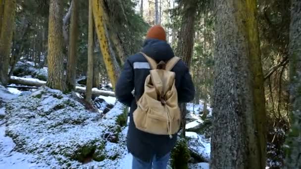 A szakállas férfi utazó fotós a kamerával a téli erdőben vesz képeket a természet. A bloggerek és a Fotóművészek utazási koncepciója — Stock videók
