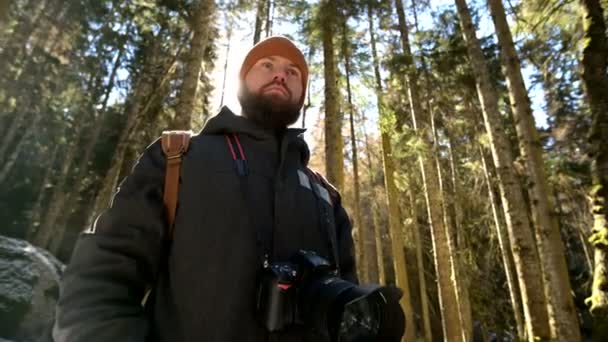 Portret van een ernstig bebaarde man fotograaf met een rugzak en een camera staande in een naald winter bos in achtergrondverlichting en zonlicht — Stockvideo