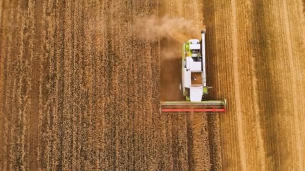 Ein moderner Mähdrescher mit 4k-Auflösung sammelt reifen Weizen ein und hinterlässt eine Staubwolke auf einem Weizenfeld. Blick von oben — Stockvideo