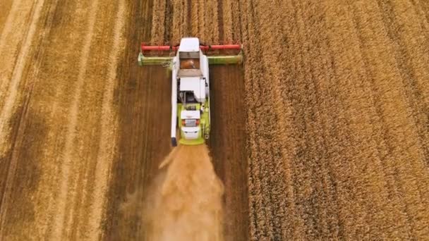 Vista aerea Risoluzione 4k Moderna mietitrebbia raccoglie grano maturo lasciando dietro di sé una nuvola di polvere in un campo di grano. Vista dall'alto — Video Stock