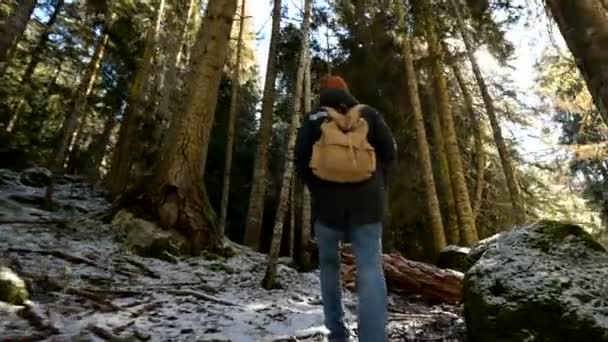 Spårnings kamera låg vidvinkel bakifrån av en manlig resenär med en ryggsäck som går längs en stig i en barrskog på vintern. Konceptet att hitta din väg och resa. ProRes 422 — Stockvideo