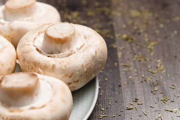 Primer plano de hongos blancos en un plato blanco sobre una mesa de madera oscura. Comida vegetariana saludable — Foto de Stock