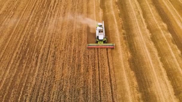Vista aérea Resolución 4k La cosechadora moderna recoge el trigo maduro dejando una nube de polvo en un campo de trigo. Vista desde arriba — Vídeo de stock
