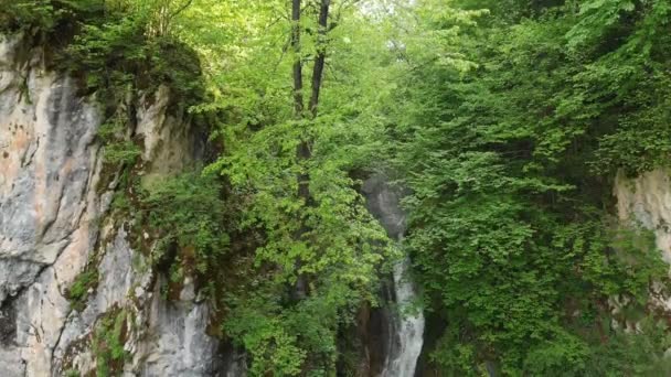 Flygfoto panoramautsikt över ett vattenfall i en Sommarskog. Vattnet faller från en klippa. Landskap resor video utan människor — Stockvideo