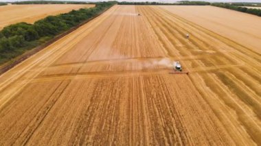 Havadan görünüm 4k çözünürlük birkaç modern birleştirmek hasat bir buğday tarlasında toz bulutu geride bırakarak olgun buğday toplar