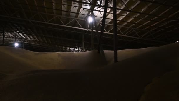 Panorama del hangar para almacenar grano de trigo. Área de almacenamiento oscura cubierta Trigo. Tecla baja — Vídeo de stock