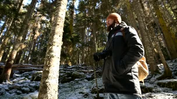 Kamera śledzący niski szerokokątny widok z tyłu męskiego podróżnika z plecakiem spacerujący po ścieżce w lesie iglastej zimą. Koncepcja znalezienia drogi i podróży. ProRes 422 — Wideo stockowe