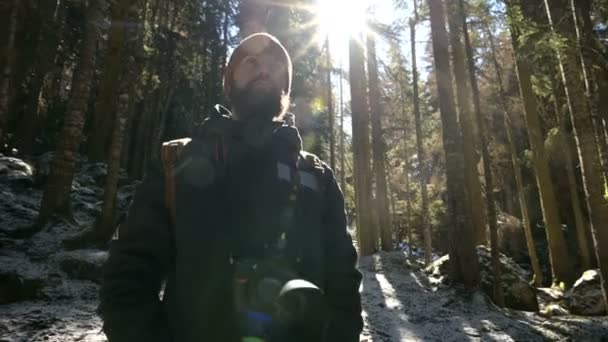 Portret van een ernstig bebaarde man fotograaf met een rugzak en een camera staande in een naald winter bos in achtergrondverlichting en zonlicht — Stockvideo