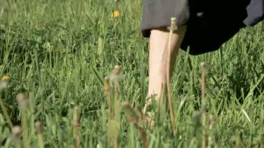 Çimenlerde pratik yapan bir adamın bacaklarının yakın çekim. Qigong egzersizleri çıplak ayak geçiş. Oryantal kültür 4k bir spor yaşam tarzı kavramı