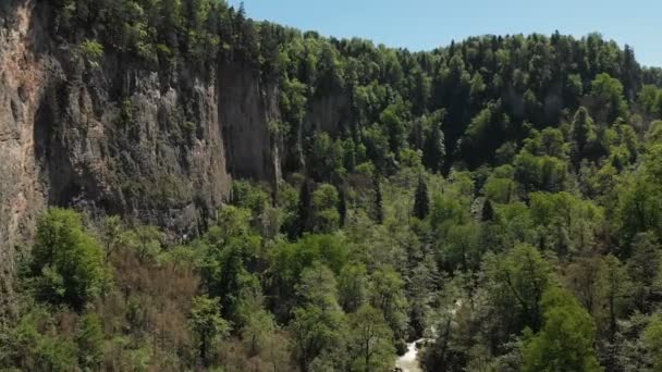 Vue aérienne du vol de la caméra au-dessus d'une gorge rocheuse profonde avec de hautes falaises et une forêt dense et une rivière coulant en dessous. Faune sur une journée d'été ensoleillée 