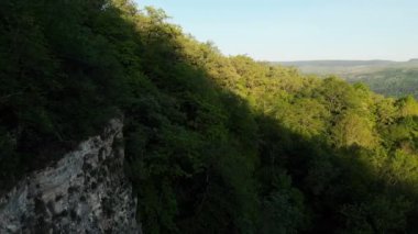 Yüksek kayalıklar ve yoğun bir orman ile derin bir kayalık geçit üzerinde kamera nın uçuş havadan görünümü. Güneşli bir yaz gününde yaban hayatı